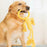 Pet Dog Dog Toy Bite-resistant Molar Teeth Relieving Boring-resistant Rope Knot Bite Rope Golden Hair Samo Labrador Big Dog Toy